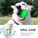 Buy Squeaky Rubber Balls for Dogs - 3-Piece Set in Bright Colors | Durable TPR Puppy Toys | Ideal Dental Pet Toys for Medium Dogs - Buy Online on GoSupps.com