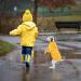 FUAMEY Dog Rain Coat | Lightweight Waterproof Rain Jacket with Transparent Brim | Reflective Dog Rain Poncho | Leash Hole | Yellow Slicker Raincoat for Small Medium Dogs Cats | Large Breed (14-23lb) - Buy Online on GoSupps.com