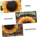 Zerodeko Strawberry Decor 1pc Wall Decoration Metal Outdoor Decor Welcome Hanging Sign Outdoor Wedding Decorations Garden Welcome Board Adornment Retro Decor Sunflower The Sign Acrylic - Buy Online on GoSupps.com