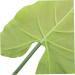 2pcs Imitation Plants Decor Artificial Plants Simulation Alocasia Leaves Simulated Leaves Wedding Fake Leaves Fake Leaves for Wedding Bouquets Fake Tropical Plants Medium Leaf - Buy Online on GoSupps.com
