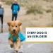 RUFFWEAR Sun Shower Rain Poncho for Dogs - Lightweight Waterproof Raincoat Large Size Hibiscus Pink - International Shipping Available - Buy Online on GoSupps.com
