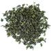  GOARTEA GOARTEA 1000g (35.2 Oz) Organic Supreme Fujian Anxi High Mount. Tie Guan Yin Tieguanyin Iron Goddess Chinese Oolong Tea th  - Buy Online on GoSupps.com
