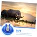 Cabilock Animal Water Dispenser Automatic Water Dispenser Automatic Water Bowl Livestock Water Fountain Livestock Waterer Bowl Float Outlet Water Feeder Drinking Dispenser Farm Feeder - Buy Online on GoSupps.com
