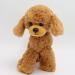 Heionia Teddy Dog Plush Toy - Kawaii Brown Poodle Cuddly Toy (20cm) | Perfect Gift for Kids & Girls | International Shipping Available - Buy Online on GoSupps.com