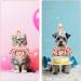 Andibro Cat Puppy Princess Costumes Kitten Small Dog Birthday Bandana Scarf and Party Hat Cute Lace Bandana Bib Scarf Crown Hat Pet Birthday Party Decorations Set Colorful Dots Cat Accessories - Buy Online on GoSupps.com