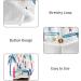 Coconut Tree Surf Hair Towel 2 Pack | Super Absorbent Quick Dry Hair Turbans for Women & Girls - Buy Online on GoSupps.com