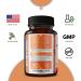 Zanapure Premium Apple Cider Vinegar Capsules with The Mother | 5 Billion CFUs Probiotics | 120 Capsules | Made in USA - Buy Online on GoSupps.com