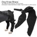 BORDSTRACT Dog Leg Braces for Hind Leg Adjustable Dog Knee Brace for Cruciate Ligament Injury Protecting Wounds Surgery Healing Arthritis Joint Pain and Muscle Sore HJ25 S - Buy Online on GoSupps.com