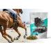 Natural Horse Joint Additives with Hyaluronic Acid - Apple Flavor Joint Cubes 450g | Optimize Joint Health for Horses - Buy Online on GoSupps.com