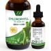 Natural Liquid Chlorophyll Drops by NobleAid, Pure Chlorophyll Liquid Drops for Water to Detox, Neutralize Odor, Boost Energy, Vegan and Non Gluten Mulberry Chlorophyll Supplement 2 Fl oz,120 Servings