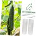 Kisangel 2pcs Vegetable Shaping Mold Plastic Fruit Flower Shaped Cucumber Molds Fruit Mold Picking Garden - Buy Online on GoSupps.com