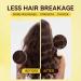 Light hair oil 120 ml antifrizz and scalp care hair loss oil for nighttime use daily routine for showering after haircut in preparation for styling for home use and 1 ml 1er Pack - Buy Online on GoSupps.com