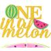 Personalised Cake Toppers Cake Decorations Watermelon Design Party Dessert Decorations Supplies Cute Cake Decoration"One in A Melon" Letter Cake Toppers 1pc Cake Topper - Buy Online on GoSupps.com