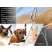 Professional Stainless Steel RW Plug-In Tongs for Dog Ears | 16 cm Animal Hair Remover Pliers | Ideal for Grooming and Dog Care - Buy Online on GoSupps.com
