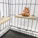 winmiya 2 PCS Bird Platform Bird Cage Accessories Pet Platform Climbing Platform Rat Cage Accessories Wooden Stand Rest Place for Small Animals - Buy Online on GoSupps.com