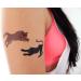 Premium Big Cat Tattoos - Lion, Cheetah, Tiger, Jaguar, Panther, Mountain Lion/Cougar - Buy Online on GoSupps.com