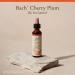 Bach Original Flower Remedies Cherry Plum - Be in Control - Natural Homeopathic Flower Essence for Emotional Balance - Vegan Gluten Free Sugar Free - 20mL Dropper - Buy Online on GoSupps.com