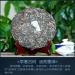 Pu-erh tea 2020 SHENG JIA YUAN Nannuo Mountain 357g Raw - Buy Online on GoSupps.com