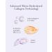 ISA KNOX AGE FOCUS Vital Collagen Essential Serum Korean Skin Care Ampoule with Hydrolyzed Collagen & Vitamins C B12 E | 2.4 fl oz - Buy Online on GoSupps.com