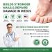Extra Strength Toenail Fungus Treatment - Nail Repair Solution for Thick, Discolored Nails - Renews and Repairs Damaged Ingrown Toenails - With Tea Tree Oil for Healthier Nails - Buy Online on GoSupps.com