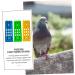 Angoily 6 Pcs Pigeon Ring Stand Training Band Holder Bird Ring Holder Chicks Foot Rings Stand Place Holder Chicken Labels Pigeon Leg Ring Organizer Racing Pigeon Ring Multicolor Plastic 20x7cmx2pcs As Shownx2pcs - Buy Online on GoSupps.com
