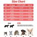 Fayogoo Cat Dishes - Durable Breathable & Reflective Leash-Proof Cat Bowls | International Shipping Available - Buy Online on GoSupps.com