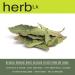 HerbLk Avocado Leaves - 100% Pure Natural Dried Leaves for Tea - Caffeine-Free Sugar-Free Gluten-Free - Organic Herbal Tea for Digestion & Antioxidant Support - 125 Leaves - Buy Online on GoSupps.com
