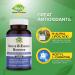 Buy Acetyl L-Carnitine 1000mg & R-Alpha Lipoic Acid 300mg Capsules - Nerve & Energy Booster for Cognitive & Cardiovascular Support | International Shipping - Buy Online on GoSupps.com