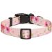 Buy Suredoo Adjustable Dog Collar - Soft Nylon for Small Medium & Large Dogs | Comfort Fit | M Size (Rose 33-55 cm) - Buy Online on GoSupps.com