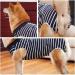 Dotoner Recovery Suit for Dogs - E-Collar Alternative Post-Op Protection Clothing Blue Striped (L) - Buy Online on GoSupps.com