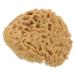 Beavorty Bath Shower Sponge Bathing Bath Exfoliating Sponge Body Scrubber Body Exfoliating Bath Body Sponge Back Sponge Household Bath Skin Scrubber Honeycomb Bath