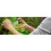 Natural Mosquito Guard Repellent Spray 4oz - Travel Friendly Bug Spray for Outdoor Use - Buy Online on GoSupps.com
