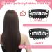 ENCHOL 60 Pieces Wig Clip Set U-Shape Hair Extension Clips Metal Snap Clips for Hair Extensions and Wefts with Sewing Needle and Thread Accessories - Buy Online on GoSupps.com