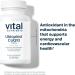 Vital Nutrients Ubiquinol CoQ10 100mg | Potent Antioxidant for Heart & Brain Health | Gluten & Dairy Free 60 Veggie Softgels | Shop Internationally - Buy Online on GoSupps.com