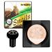 WYBLZPXZ Mushroom Head Air Cushion CC Cream Moisturizing BB Cream Liquid Foundation Collagen Cushion Foundation Long Lasting Matte Concealer Bright Makeup Base Easy to Apply Even Skin Tone-Natural Natural Color