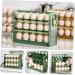 OSALADI Egg Storage Box Storage Boxes Plastic Cilantro Containers for Refrigerator Egg Holder Container Box Green 26X20X10CM - Buy Online on GoSupps.com