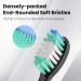Replacement Toothbrush Heads Compatible with AquaSonic Black Vibe & Duo Series - Pack of 10 - Buy Online on GoSupps.com