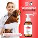 Dog Immunity Booster Drops - Vegan Formula with Vitamins, Antioxidants, and Mushroom Blend - 200ml - Buy Online on GoSupps.com
