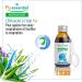 Puressentiel Respiratory Pure Acti Syrup for Children aged 3 Years Honey Erysimum and Elderberry Extracts Vitamin D3 Natural and Delicious Taste 125 ml - Buy Online on GoSupps.com