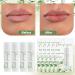 30 Pack Moisturizing Lip Balms in Bulk Return Thank You Gifts for Wedding Sage Green Eucalyptus Leaf Theme Birthday Baby Shower Gifts Party Favors Games Prizes Guests Gifts (Vanilla) - Buy Online on GoSupps.com