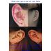 Mushaya Reusable Ear Piercing Gun Kit with 3 Pairs Earrings - Professional Piercing Tool for Adults and Children - Buy Online on GoSupps.com
