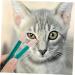 BESPORTBLE 2pcs Eye Gum Cleaner Dog Eye Cleaner Comb Pet Tear Marks Brush Kitten Cleaning Brush Cat Eye Comb Pp 10.00X3.20X1.00CM Assorted Color - Buy Online on GoSupps.com