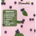Biomatea Acai Berry Powder 100 pure without additives vegan glutenfree ideal for smoothies yogurt and muesli 100 g zip bag for freshness Acai Powder Superfood - Buy Online on GoSupps.com