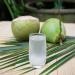 BAMBOO TREE Coconut Water - 1 LTR | Refreshing Natural Drink | International Shipping Available - Buy Online on GoSupps.com