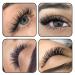 Buy 5D Eyelash Extensions - Mixed Long Fan Wicker Compartment 0.07 & 0.10 Strength C D Curl | Volume 8-15 Mix - International Shipping Available - Buy Online on GoSupps.com