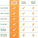 FocusFuel Energy Chews Variety Pack Peach & Pineapple (2-Pack 30 Servings Total) 100mg Natural Caffeine + Nootropics Sweet Tropical Energy Duo - Buy Online on GoSupps.com