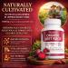 Organic Beet Root Capsules Purely Natural Supports Circulatory Wellness Efficient Oxygen Use Plant-Based Beet Root Formula Tablet Form Daily Use Non-GMO (1) 60 Count (Pack of 1) - Buy Online on GoSupps.com