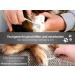 Paw Scissors: 9 cm Small Fur & Dog Hair Scissors for Precise Grooming - Perfect for Pet Owners - Buy Online on GoSupps.com