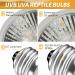 Caldarax 2 Pack Reptile Heating Bulb E27 Dimmable UVA UVB Bulb Tortoise 25W Turtle Basking Bulb for Reptiles and Amphibians Heat Lamp Bulb for Tortoise Bearded Dragon Lizard Snake - Buy Online on GoSupps.com