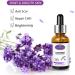 AICHUN BEAUTY Lavender Extract Scar Repair Essence | Anti-Scar Essential Oil for Smooth Skin | 30ml - Buy Online on GoSupps.com